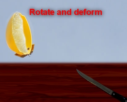 Creation of Lemons: Step 13